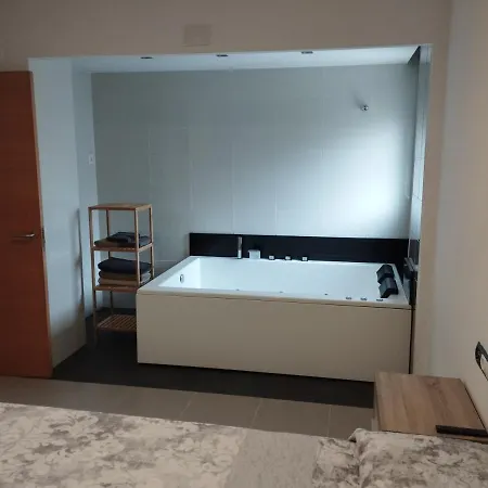 Atico Con Hidromasaje, Terraza Y Piscina En Ebrehogar *