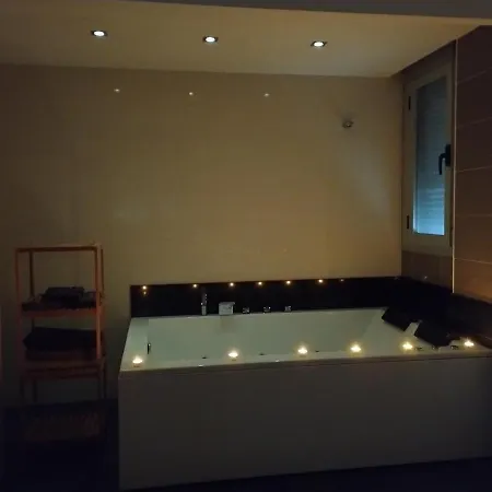 Apartment Atico Con Hidromasaje, Terraza Y Piscina En Ebrehogar Amposta