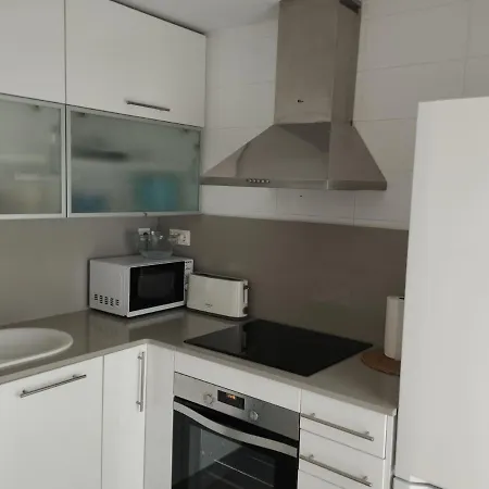 Atico Con Hidromasaje, Terraza Y Piscina En Ebrehogar * Amposta