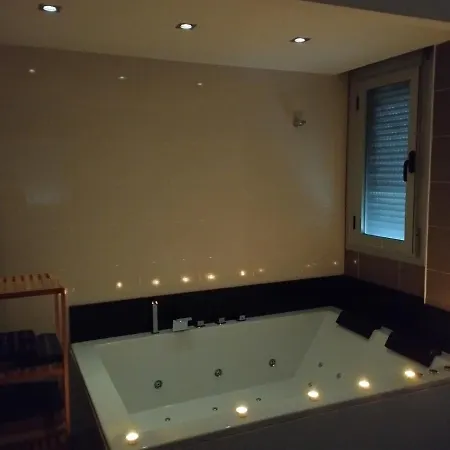 Atico Con Hidromasaje, Terraza Y Piscina En Ebrehogar